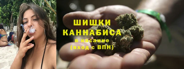 гашик Богородск