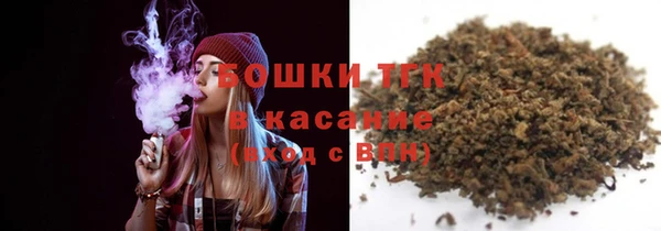 гашик Богородск