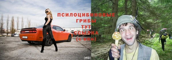 гашик Богородск