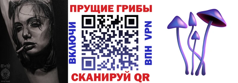 Галлюциногенные грибы GOLDEN TEACHER  Купить где  Борисоглебск 